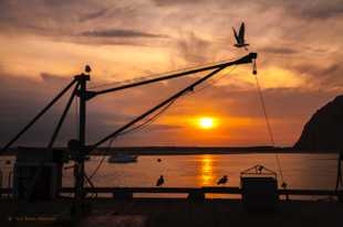 Morro Bay sunset-6409.jpg Morro Bay sunset-6409.jpg